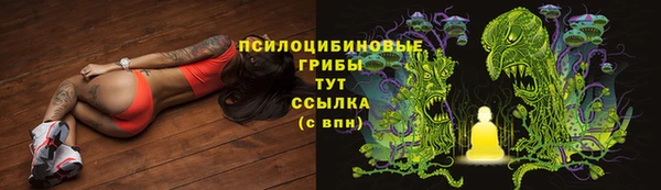 таблы Аркадак